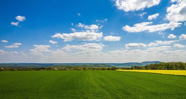 Führung: Kirchenburg Ostheim (Rhön) & Bibelgarten Sondheim